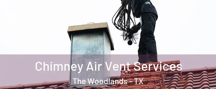  Chimney Air Vent Services The Woodlands - TX