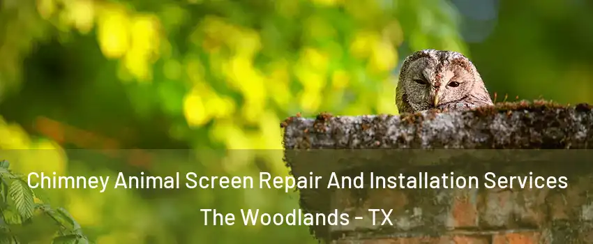  Chimney Animal Screen Repair And Installation Services The Woodlands - TX