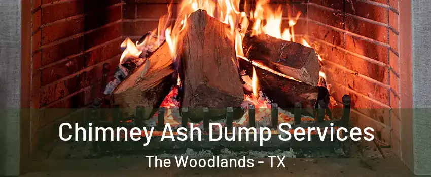  Chimney Ash Dump Services The Woodlands - TX