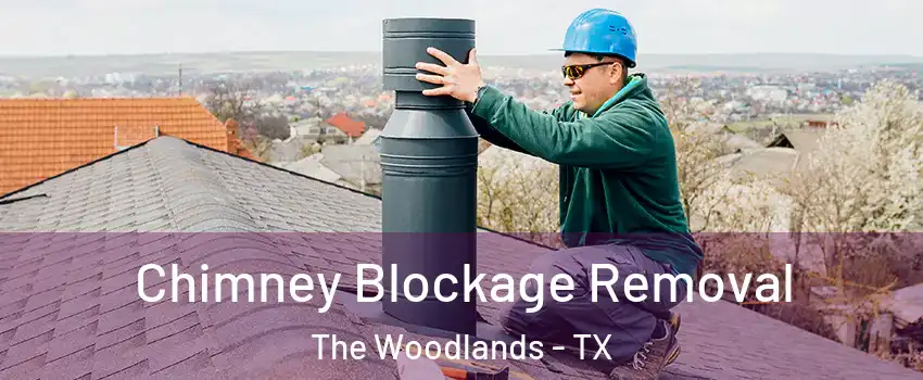  Chimney Blockage Removal The Woodlands - TX