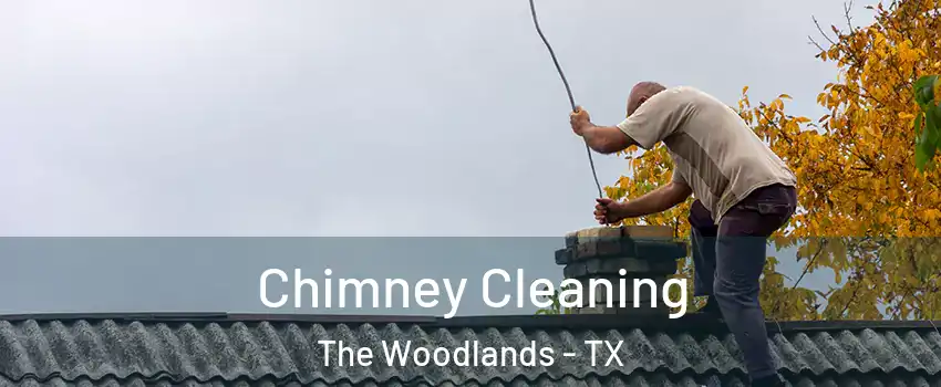  Chimney Cleaning The Woodlands - TX