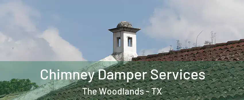  Chimney Damper Services The Woodlands - TX