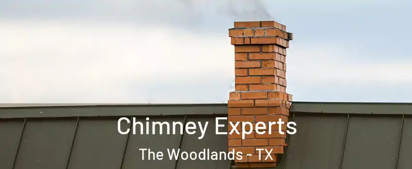 Chimney Experts The Woodlands - TX