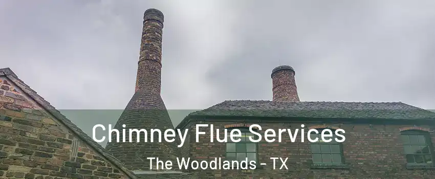  Chimney Flue Services The Woodlands - TX
