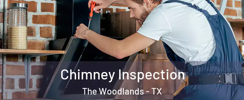  Chimney Inspection The Woodlands - TX