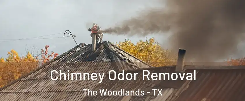  Chimney Odor Removal The Woodlands - TX
