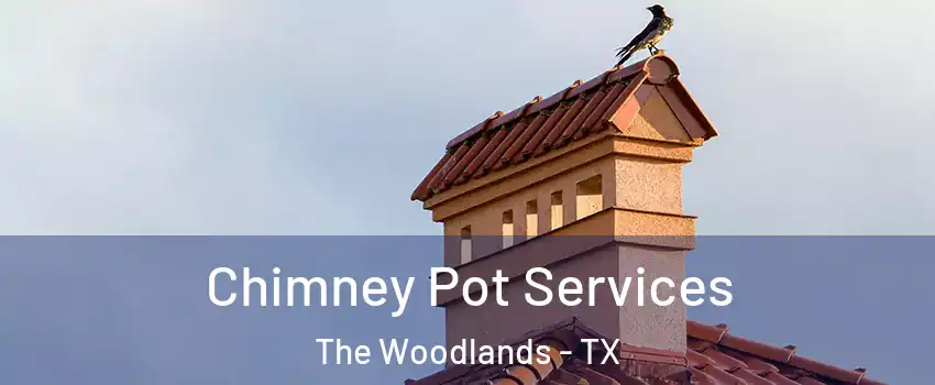  Chimney Pot Services The Woodlands - TX