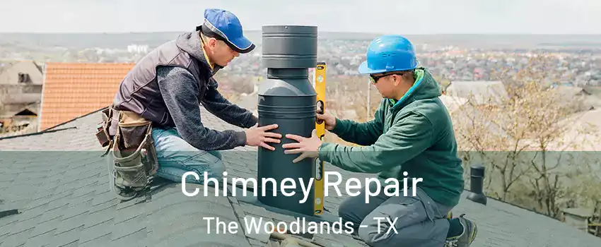  Chimney Repair The Woodlands - TX