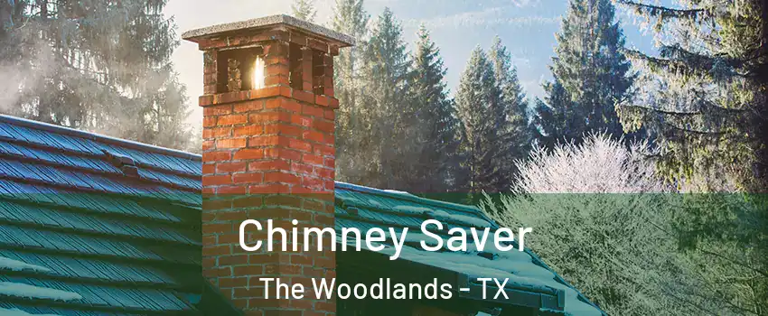  Chimney Saver The Woodlands - TX
