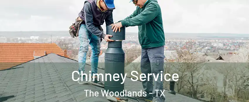 Chimney Service The Woodlands - TX
