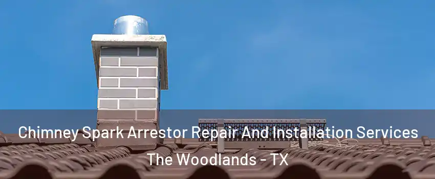  Chimney Spark Arrestor Repair And Installation Services The Woodlands - TX