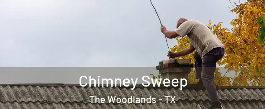  Chimney Sweep The Woodlands - TX
