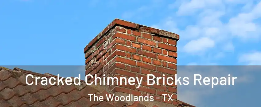  Cracked Chimney Bricks Repair The Woodlands - TX