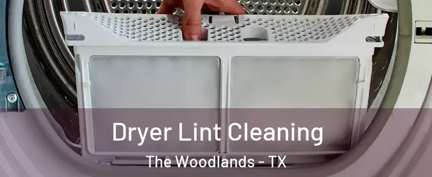  Dryer Lint Cleaning The Woodlands - TX