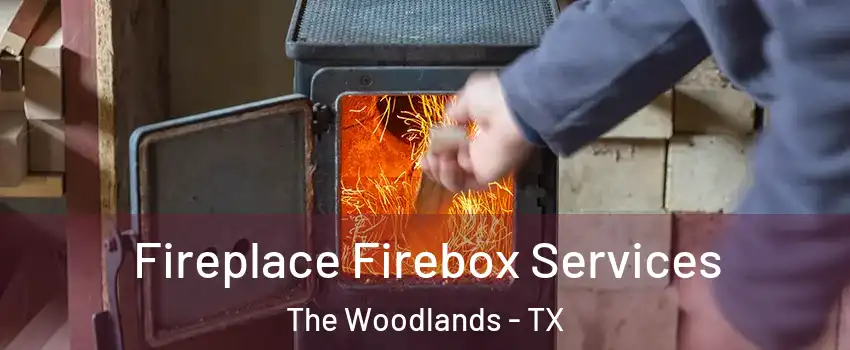  Fireplace Firebox Services The Woodlands - TX