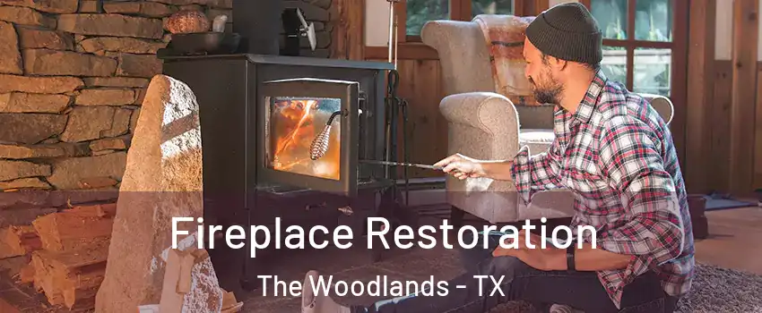  Fireplace Restoration The Woodlands - TX