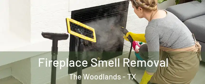  Fireplace Smell Removal The Woodlands - TX