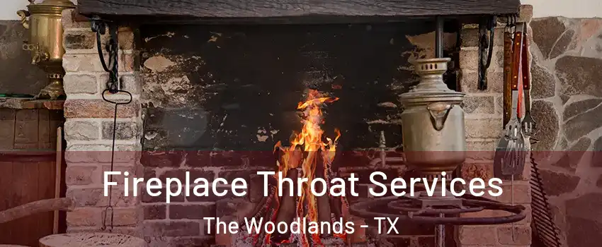  Fireplace Throat Services The Woodlands - TX