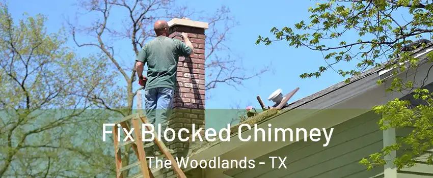  Fix Blocked Chimney The Woodlands - TX