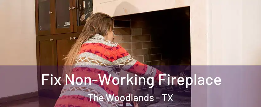  Fix Non-Working Fireplace The Woodlands - TX
