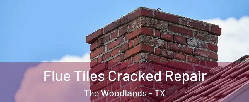  Flue Tiles Cracked Repair The Woodlands - TX