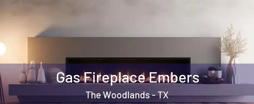  Gas Fireplace Embers The Woodlands - TX