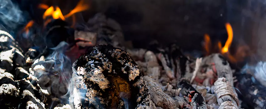 Creosote Removal Experts in The Woodlands, TX
