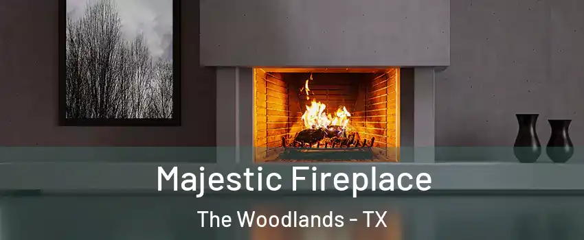  Majestic Fireplace The Woodlands - TX