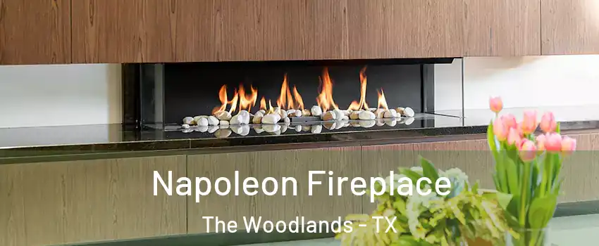  Napoleon Fireplace The Woodlands - TX