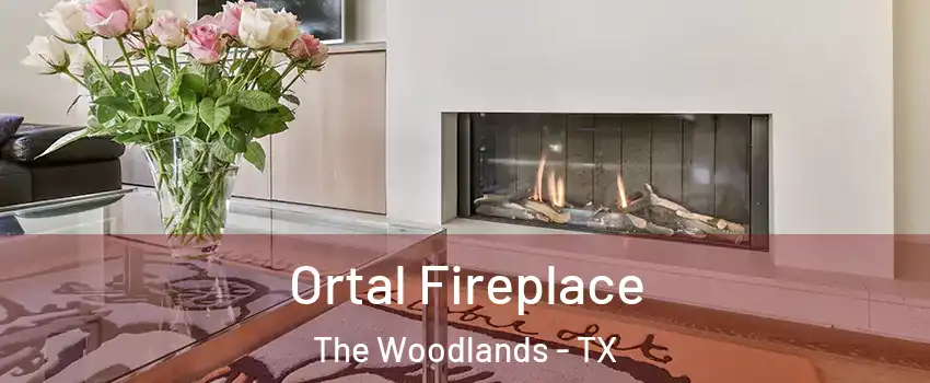  Ortal Fireplace The Woodlands - TX