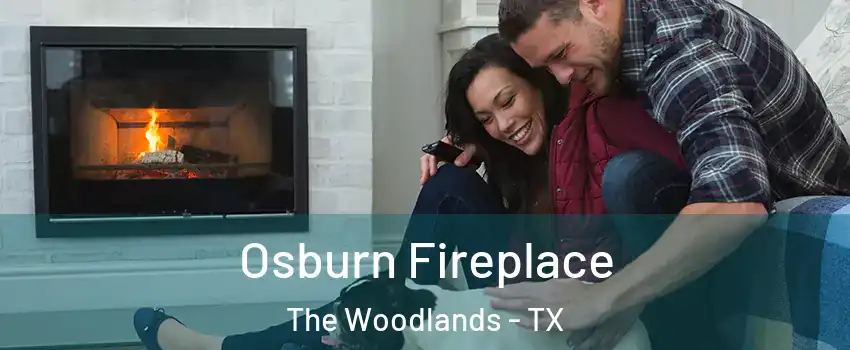  Osburn Fireplace The Woodlands - TX